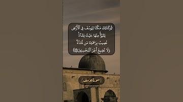 سورة يوسف الآية ٥٦ و ٥٧ بصوت الشيخ محمد صديق المنشاوي