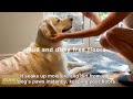 OLANLY Dog Door Mat for Muddy Paws 30x20, Absorbs Moisture and Dirt, Absorbent Non-Slip