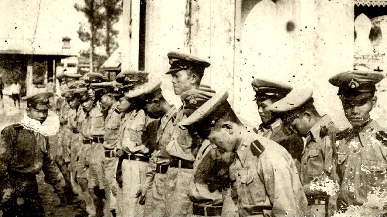 หยั่งรากลงแล้ว...บันทึกรากแก้วราชนาวี