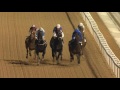 DWCC Meydan Racecourse 21-1-16, Race 3 Meydan Sobha Handicap