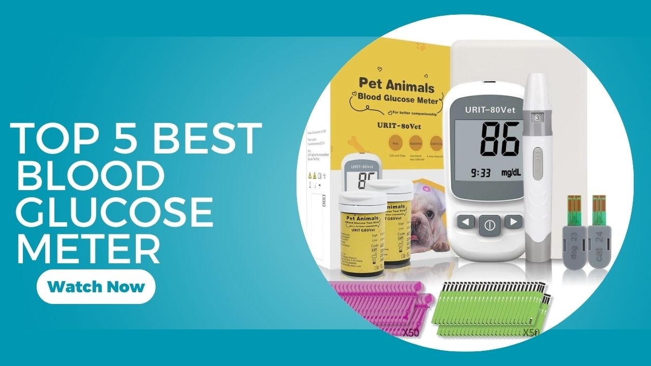 Top 5 Best Blood Glucose Meter in 2026 on AliExpress