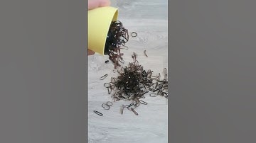 reverse Video #youtube #satisfying #relaxing #reverse #yt #shorts