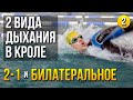 Дыхание 2-1 и 3-1. Билатеральное дыхание в кроле. Как правильно дышать при плавании кролем?