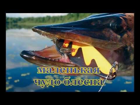 Трофейные щуки и чудо блесна 18+