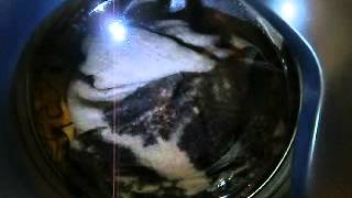 Video Whirlpool AWG 870-1000 rapid 40 prog. 4 1/2 (author: PeSuKoNe!)