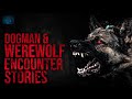 3 HOURS OF DOGMAN HORROR STORIES -  DOGMAN ENCOUNTERS AND DOGMAN SIGHTINGS