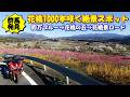 4/8発見!絶景ロード【花桃1000本咲く絶景スポット】と神秘の四万ブルー！群馬春旅バイクツーリング後編
