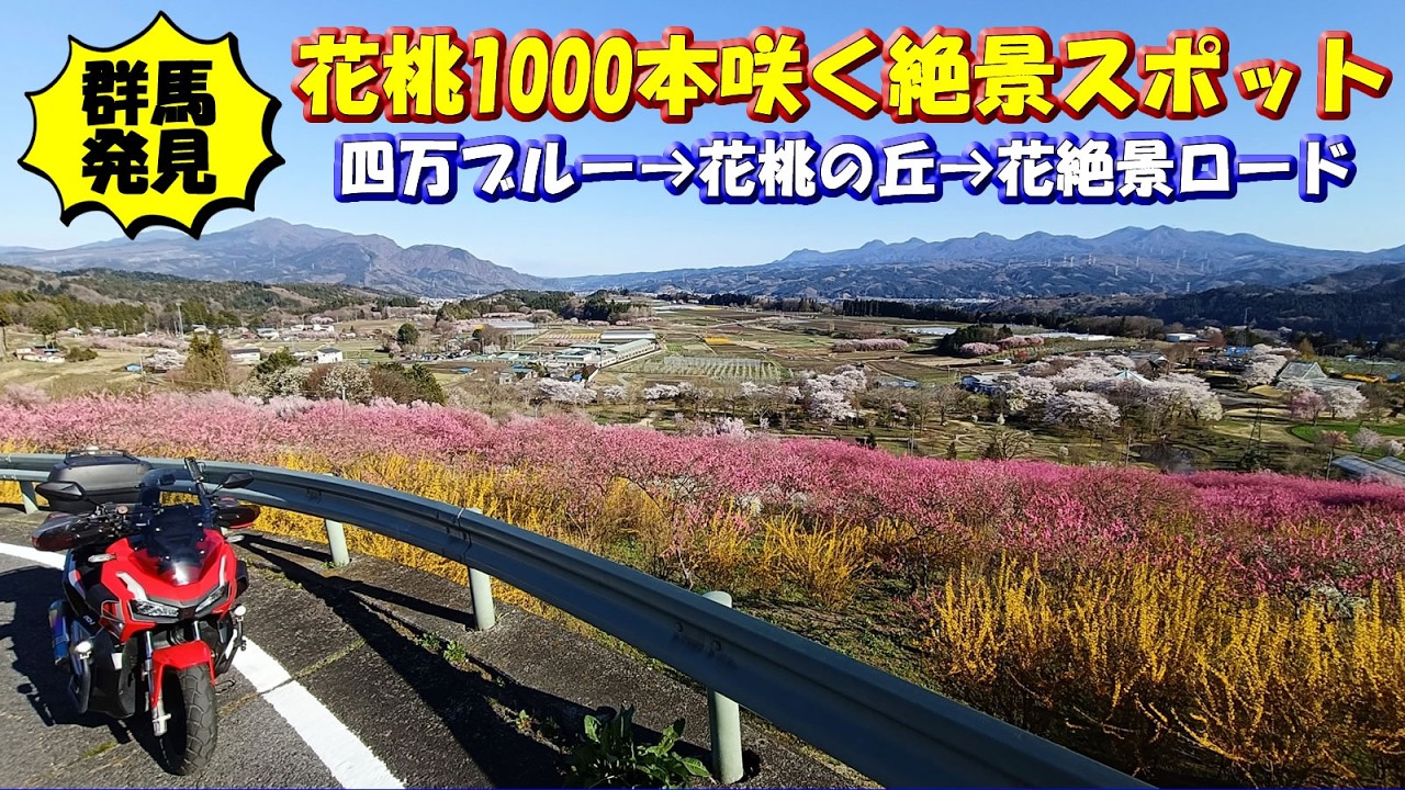 Discovered on April 8th! A breathtaking road [a scenic spot with
