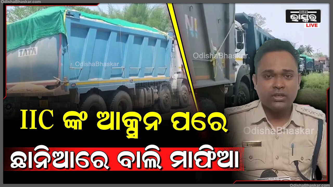 IIC ଙ୍କ ଆକ୍ସନ ପରେ ଛାନିଆରେ ବାଲି ମାଫିଆ ମାନେ  I