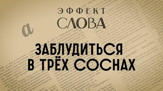 Эффект слова: заблудиться в трёх соснах