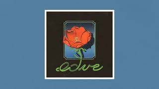 The Chairs - Paradise... How Far? ♪