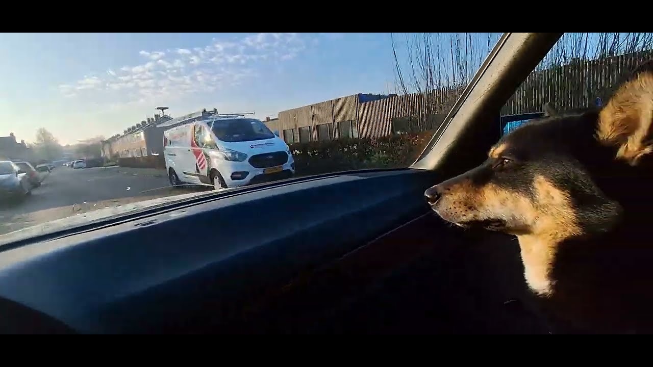 W126 life. Busy in de morning