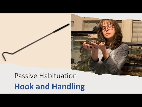 Guided Learning with Pythons: Hook, Handling, Targeting