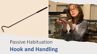 Guided Learning with Pythons: Hook, Handling, Targeting Wealth