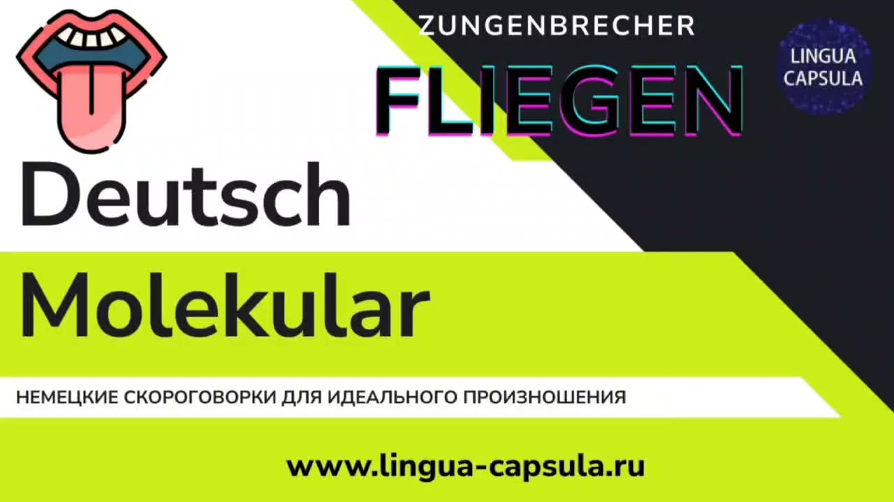 Zungenbrecher Fliegen Linguacapsula (c)