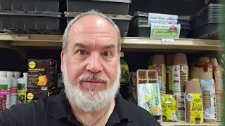 Spungy Moth Caterpillars