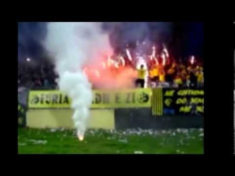 ks besa e kavjes "black and yellow"