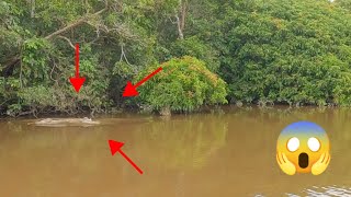 Ternyata Selama Ini Saya Mancing Di Sarang Buaya 😱| Mancing Udang Galah