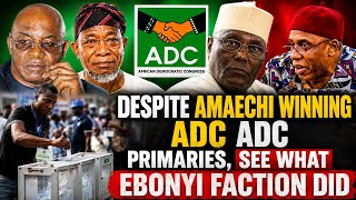 Despite Rotimi Amaechi winning the ADC presidential primary, see what Ebonyi State faction did 
