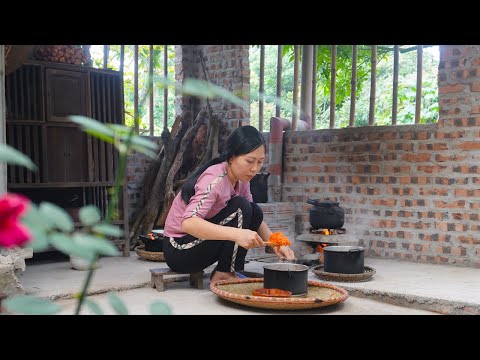 Video Thổi Xôi Gấc, ra vườn lấy thêm rau xanh làm Món Ngon... - youtube