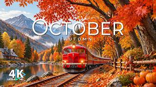 October Autumn 4K – Golden Forests, Crimson Leaves & The Magic of Peak Fall