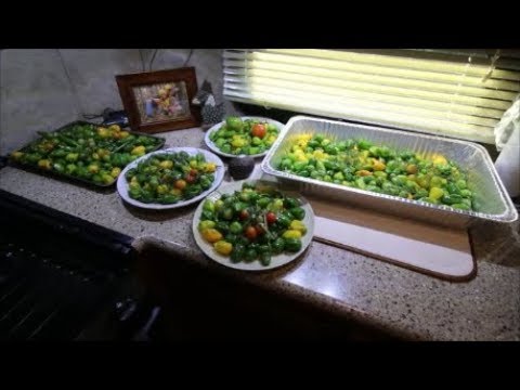 Last garden update for 2018