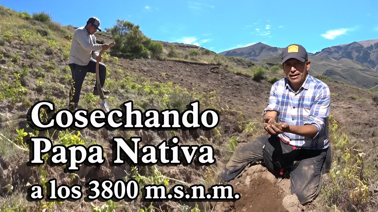 El Cañón más PROFUNDO de América, COTAHUASI   AREQUIPA, día 1 de 3