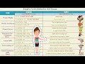 Active and Passive Voice: Using PASSIVE VOICE with Different TENSES in English