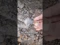 How Hermkimer Diamond Mining Process Works: Unveiling the Beauty of Herkimer Diamonds #shorts