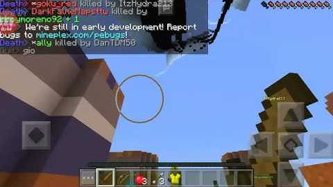 Hacker report (mineplex PE)