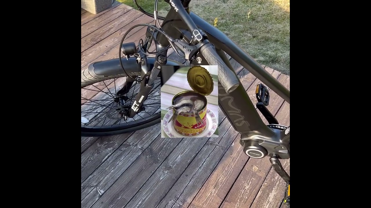 MoMAs Wayfarer 2023.