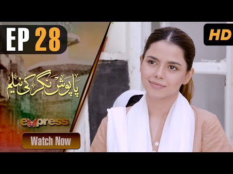 Paposh Nagar Ki Neelam — Episode 28