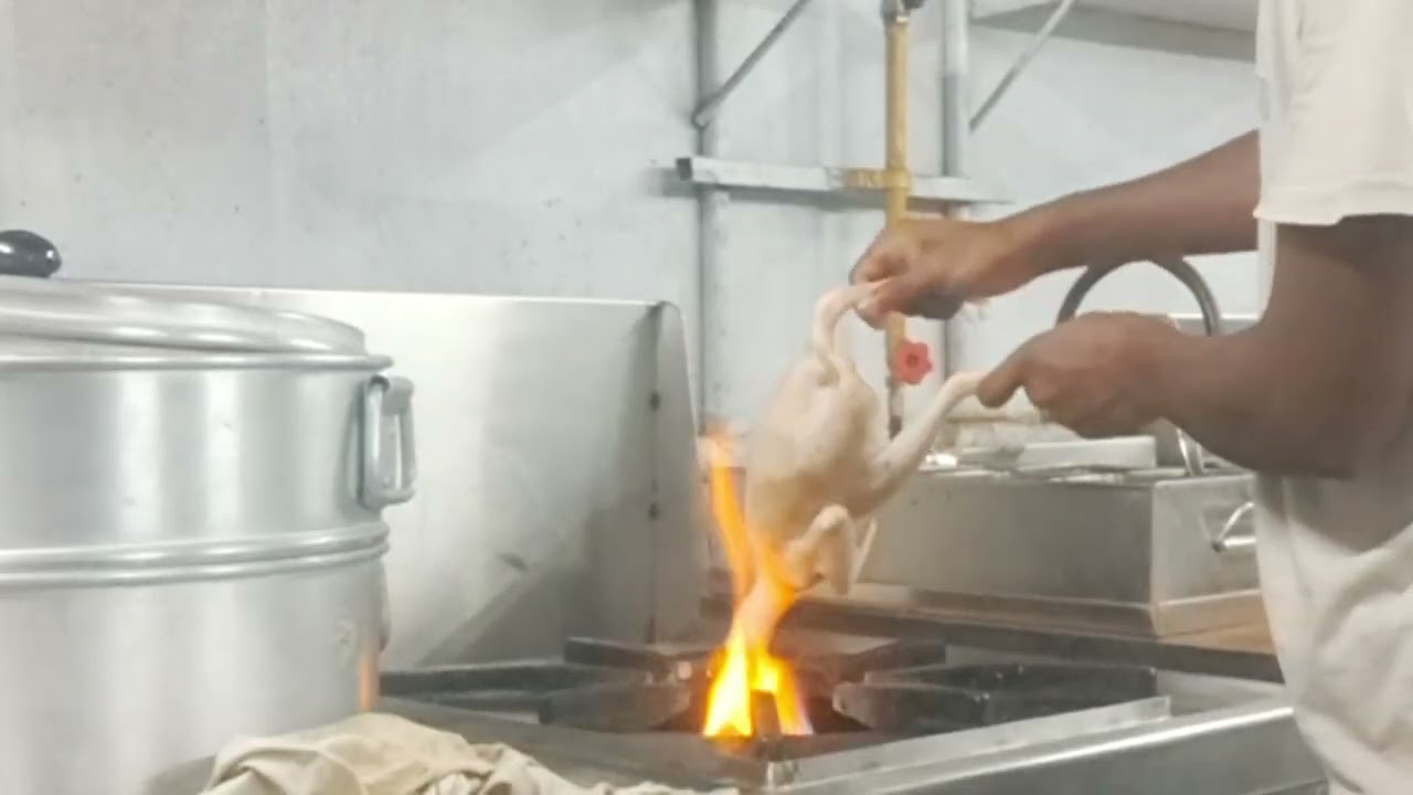 The Cat Rebellion is Coming