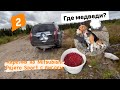 В Карелию на Mitsubishi Pajero Sport с биглем. Брусника. Помним народные промыслы 2.23