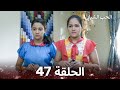 الحب الشبابي الحلقة 47 Youthful Love 
