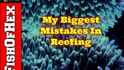 Top 5 Biggest Mistakes I