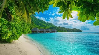 Chillout Vibes ☀️ Top Tracks of 2024