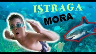 NAPAO ME MORSKI PAS!?/ISTRAŽUJEM MORSKO DNO + SPRDAMO SE NA PEDALINI (*maturalac*)
