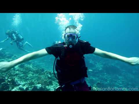 Подводное погружение на Harbour Island