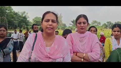 Master Cadre 4161 New Update/Cadre transfer dispute #punjabexam01 #mastercadre #new