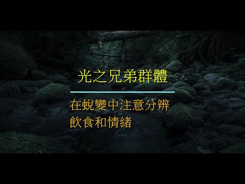 MC273 光之兄弟群體 在蛻變中注意分辨飲食和情緒