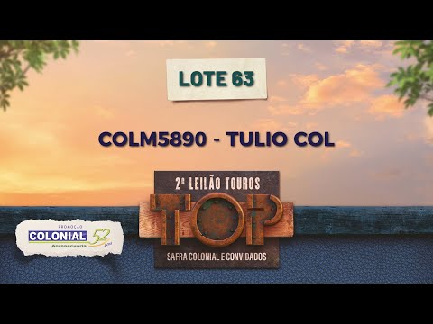 LOTE 63 COLM 5890