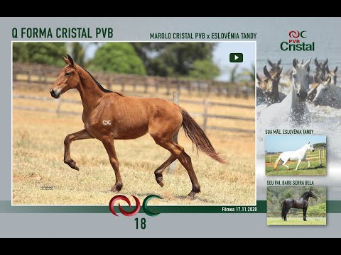 Q Forma Cristal PVB