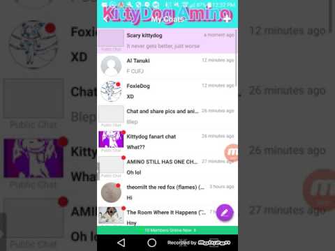 #savekittydogamino2017 - #savekittydogamino2017
