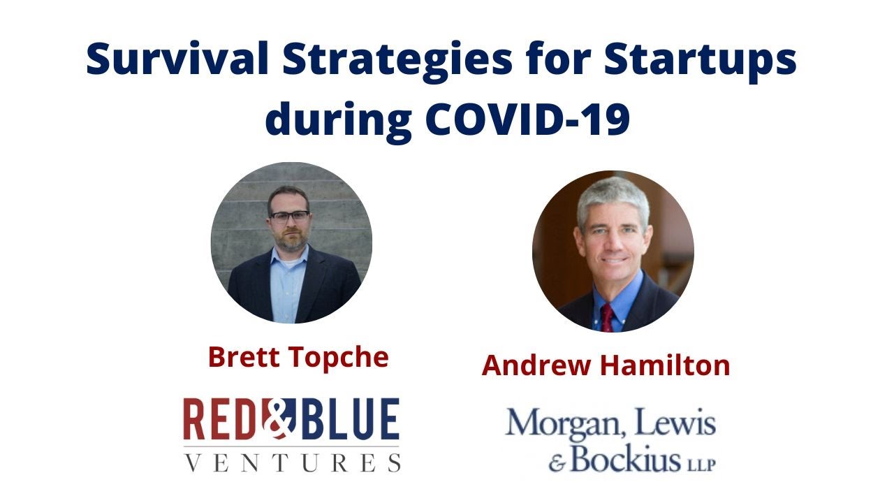 Survival Strategies for Startups during COVID-19
