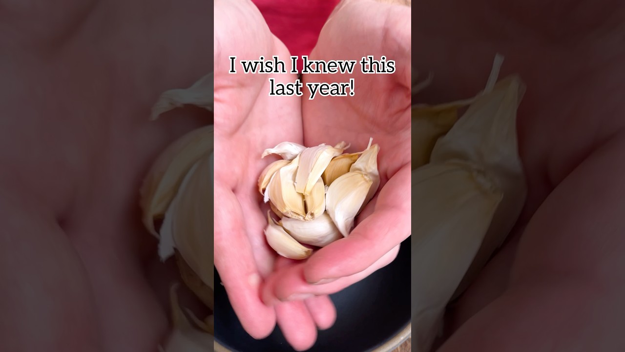 simply soak garlic in HOT water for 5 minutes and the peel comes right off!  