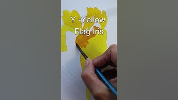 How to paint with Koh I Noor stackable sets. Painting a Yellow Flag Iris flower, wet on dry.