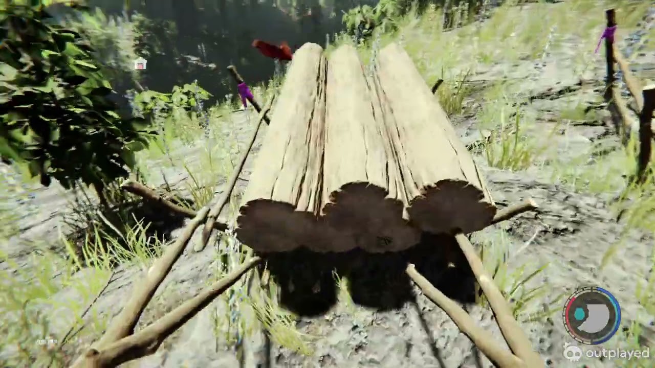 The Forest video. Feb 15, 2026