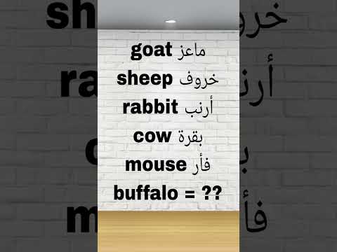 اكسبلور   العلم تعلم   انجليزي تعلم الانجليزية