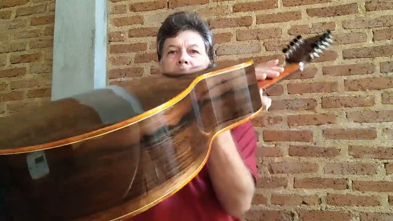 Viola Don Francisco Luthier tampo cedro canadense 